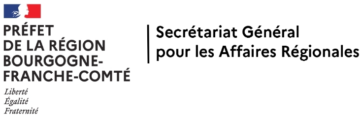 L’intelligence artificielle du Ministère de l’Intérieur (« MIrAI ») et ses usages